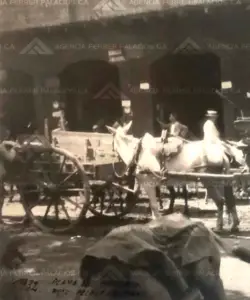 Historia-Agencia-Ferrer-Palacios-14