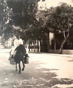 Historia-Agencia-Ferrer-Palacios-15