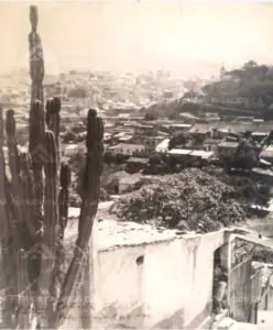 Historia-Agencia-Ferrer-Palacios-2