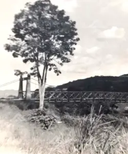 Historia-Agencia-Ferrer-Palacios-28