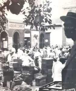 Historia-Agencia-Ferrer-Palacios-32