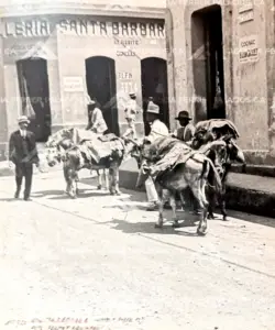 Historia-Agencia-Ferrer-Palacios-33