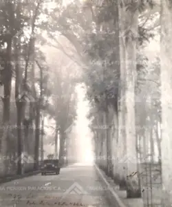 Historia-Agencia-Ferrer-Palacios-35