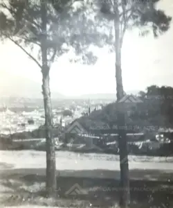 Historia-Agencia-Ferrer-Palacios-41