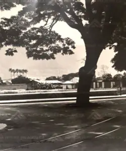 Historia-Agencia-Ferrer-Palacios-7