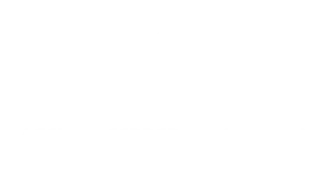 LOGO-BLANCO-AGENCIA-FERRER-PALACIOS